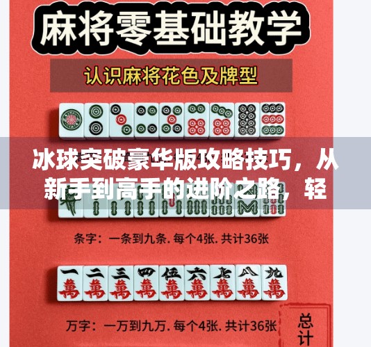 冰球突破豪华版攻略技巧，从新手到高手的进阶之路，轻松赢取高额奖励！冰球突破豪华版攻略技巧